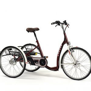 Rowerek Trójkołowy=Lagoon-E 2219E