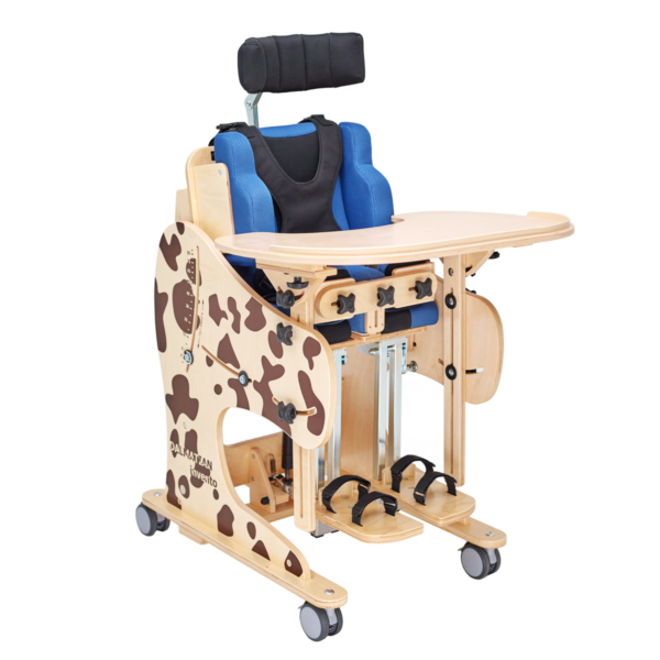 Urządzenie wielofunkcyjne DALMATYŃCZYK INVENTO Akcess Med r.1